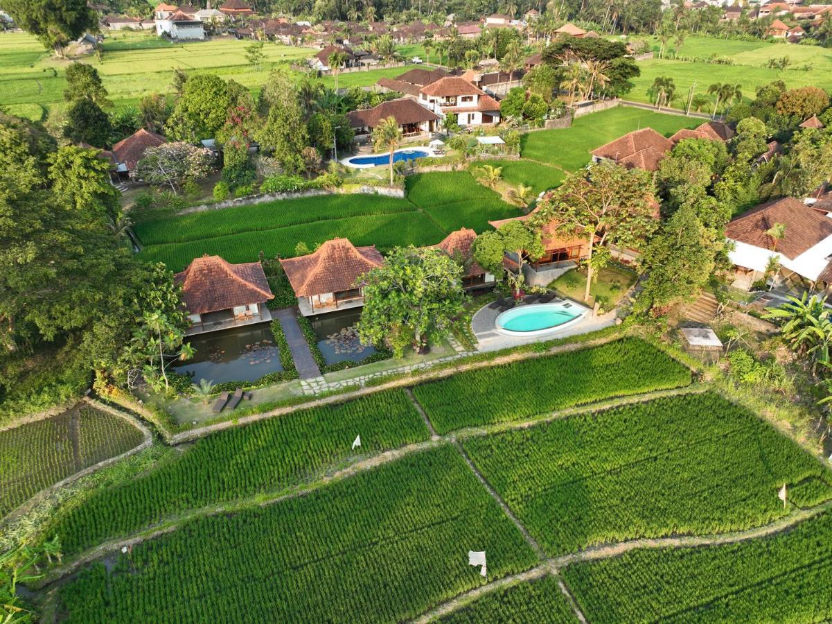 Griya Kcb Villa Ubud  Ngoại thất bức ảnh