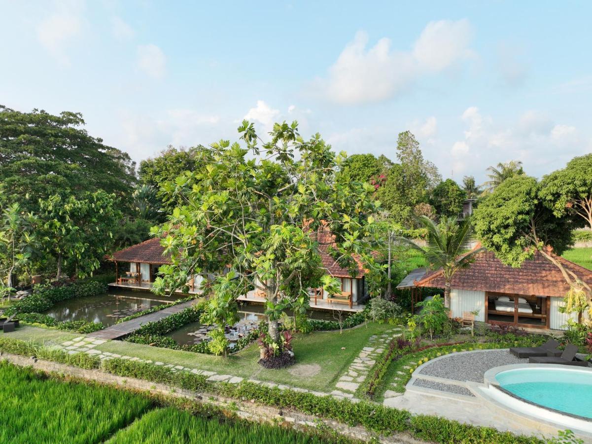 Griya Kcb Villa Ubud  Ngoại thất bức ảnh