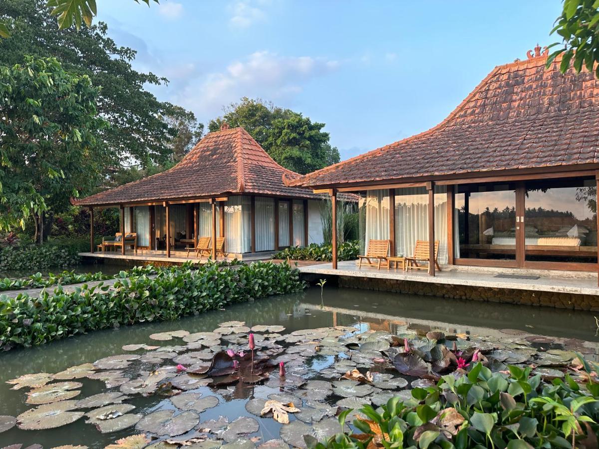 Griya Kcb Villa Ubud  Ngoại thất bức ảnh