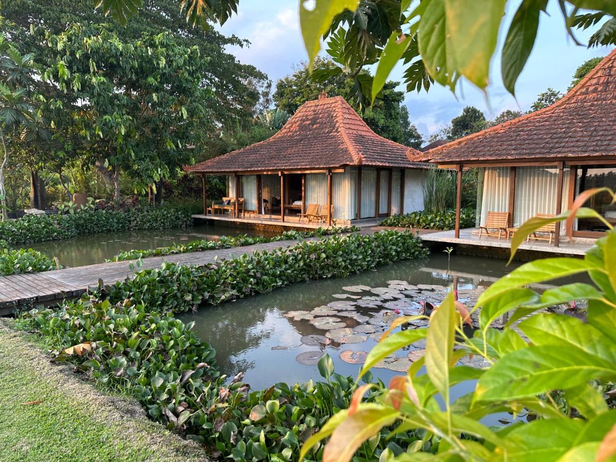 Griya Kcb Villa Ubud  Ngoại thất bức ảnh
