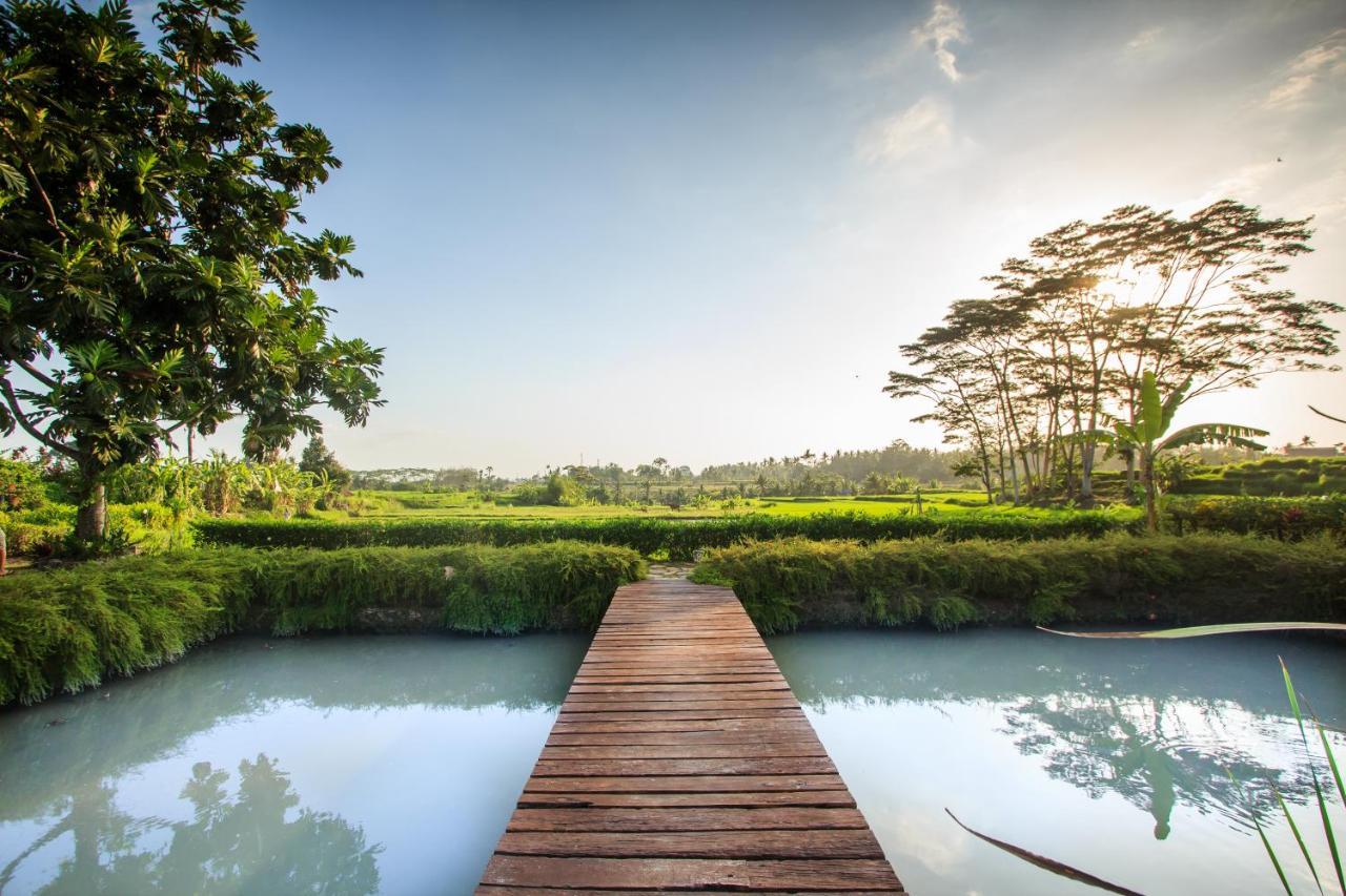 Griya Kcb Villa Ubud  Ngoại thất bức ảnh