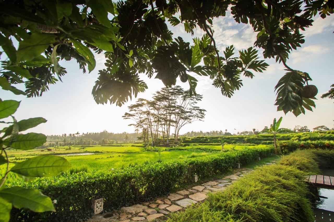 Griya Kcb Villa Ubud  Ngoại thất bức ảnh
