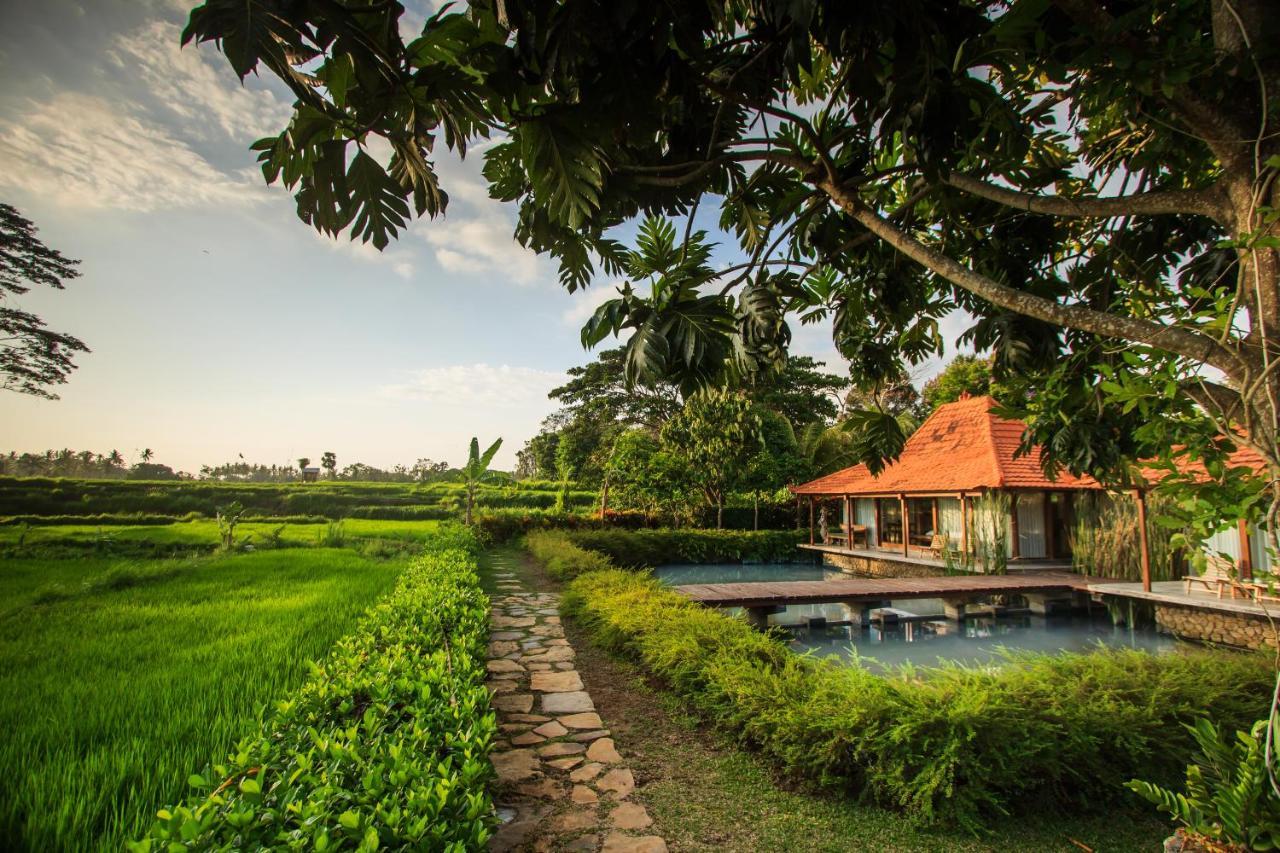 Griya Kcb Villa Ubud  Ngoại thất bức ảnh