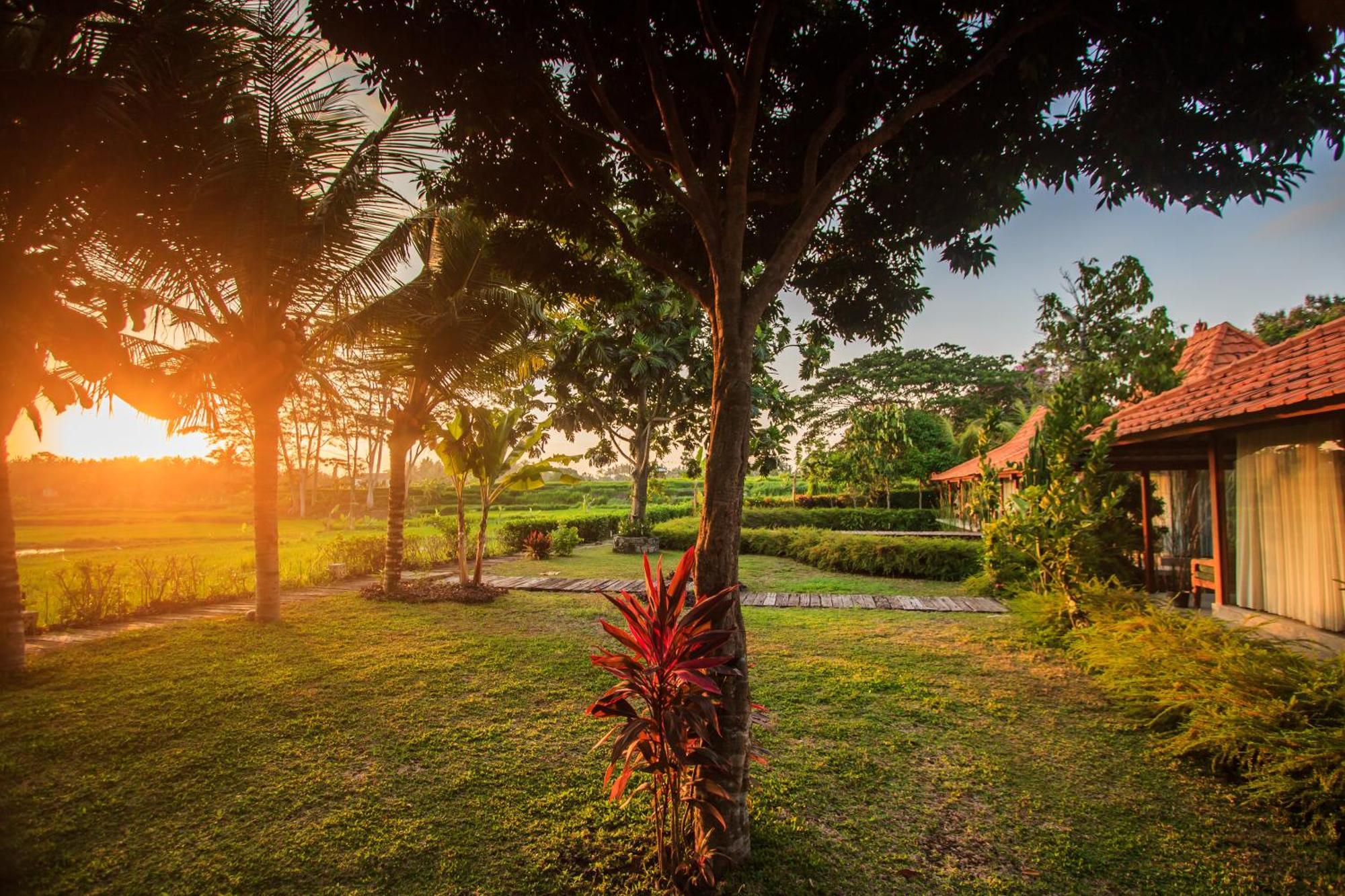 Griya Kcb Villa Ubud  Ngoại thất bức ảnh