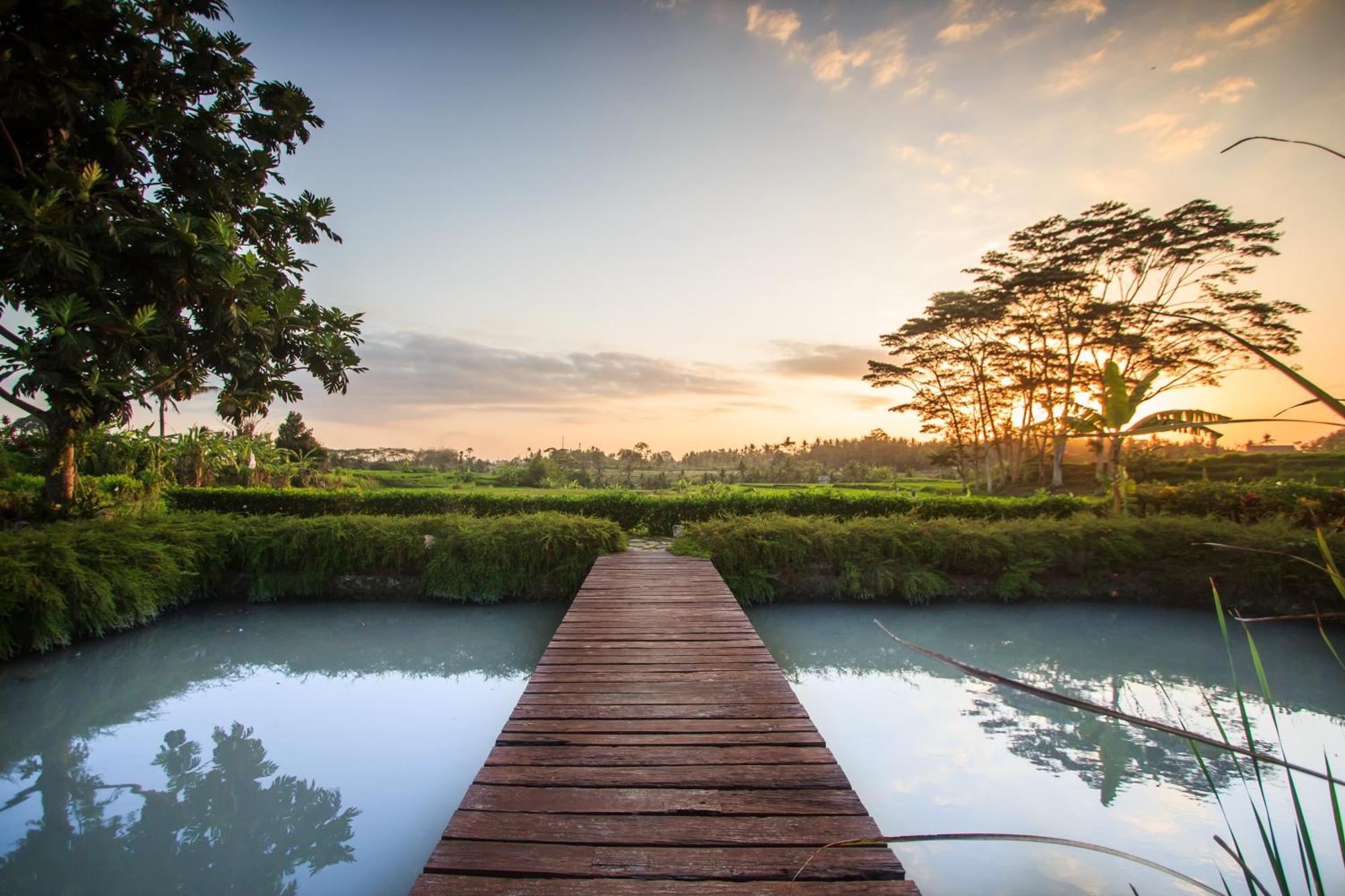 Griya Kcb Villa Ubud  Ngoại thất bức ảnh