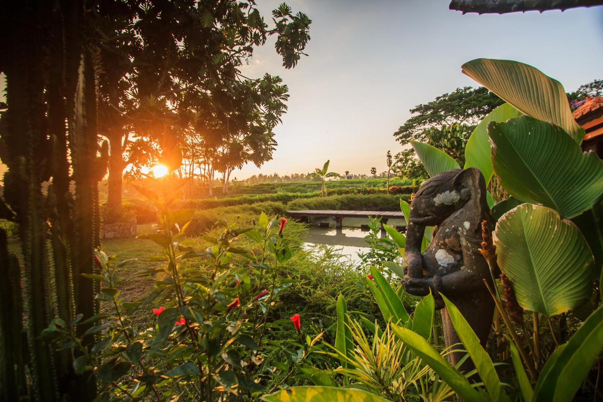 Griya Kcb Villa Ubud  Ngoại thất bức ảnh