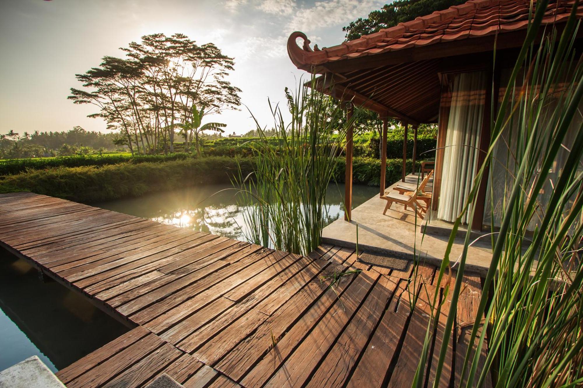 Griya Kcb Villa Ubud  Ngoại thất bức ảnh