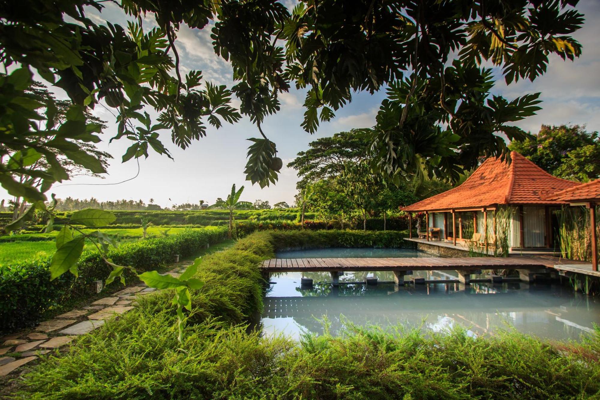 Griya Kcb Villa Ubud  Ngoại thất bức ảnh